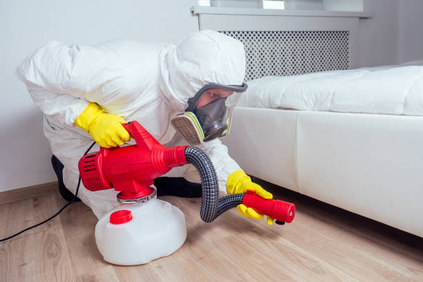 Best Residential Pest Control  in Springfield, FL